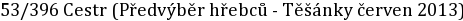 53/396 Cestr (Předvýběr hřebců - Těšánky červen 2013)